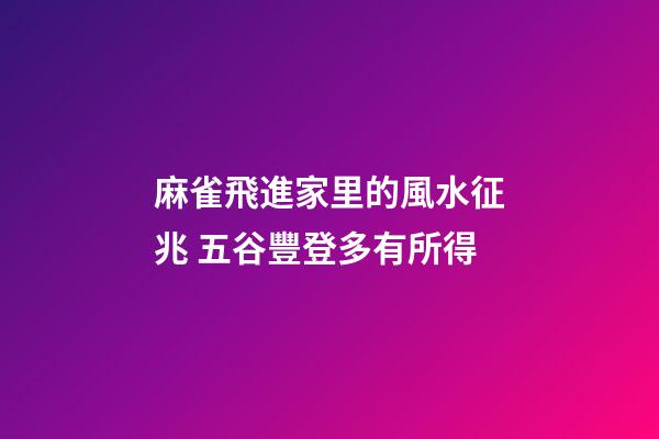 麻雀飛進家里的風水征兆 五谷豐登多有所得